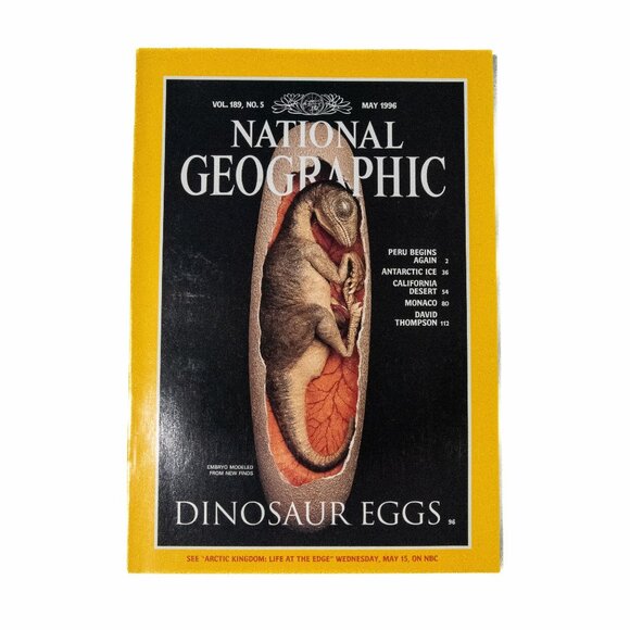 National Geographic May 1996 Dinosaur Eggs Cover Vol 189 No 5 - Picture 1 of 10